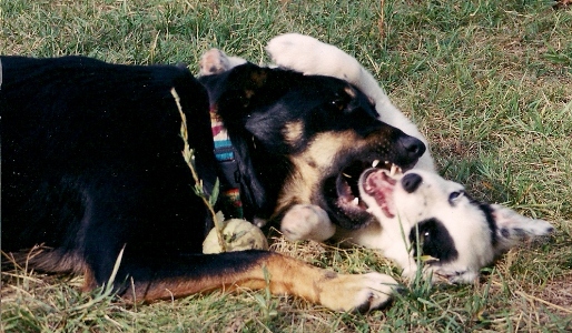 Fran and Ocean Baby play