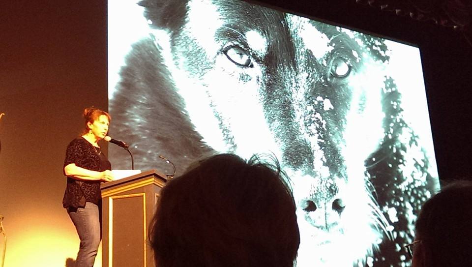 10171034_530683387053349_6247528755697864747_n