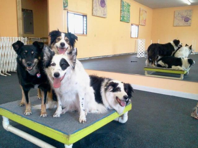 386003_4612386555651_1774087337_n