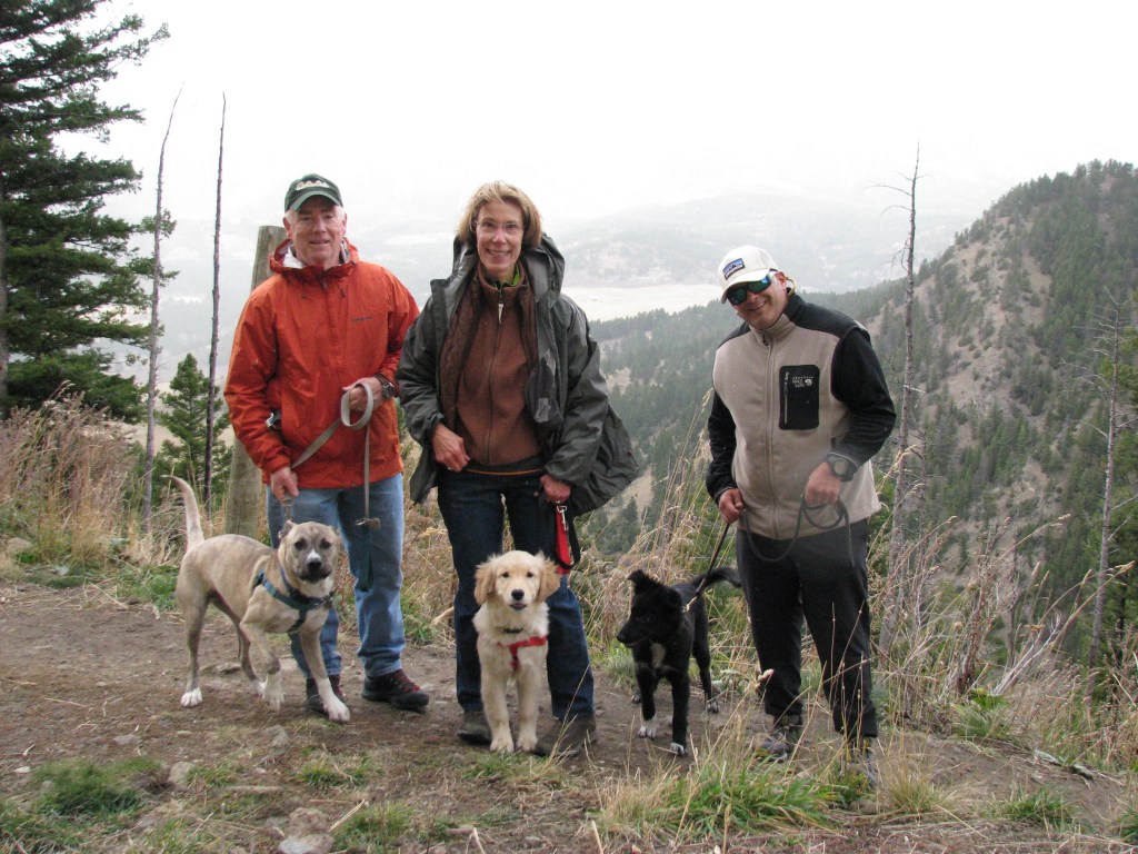 Strategies for dealing with off-leash dogs in on-leash only&nbsp;areas