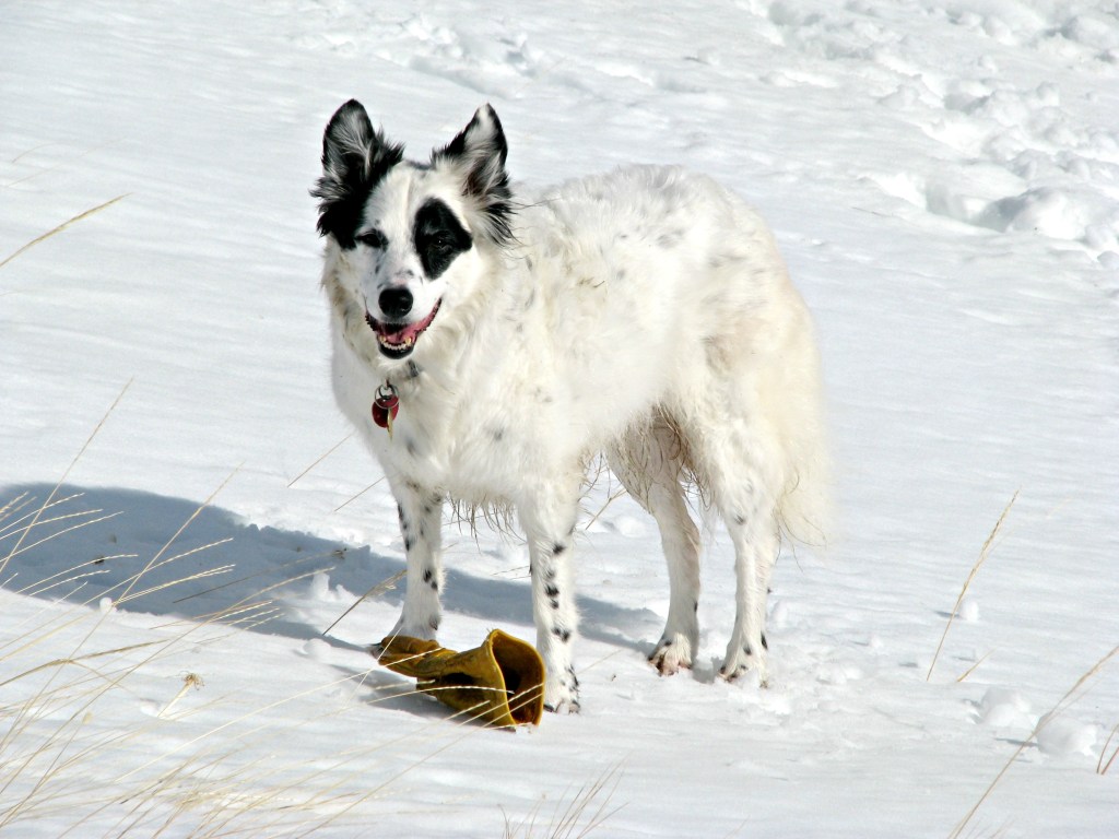 the last dance&nbsp;…