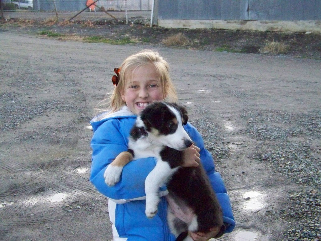 Puppy Socialization – it shouldn’t be an after thought, it should be a&nbsp;priority