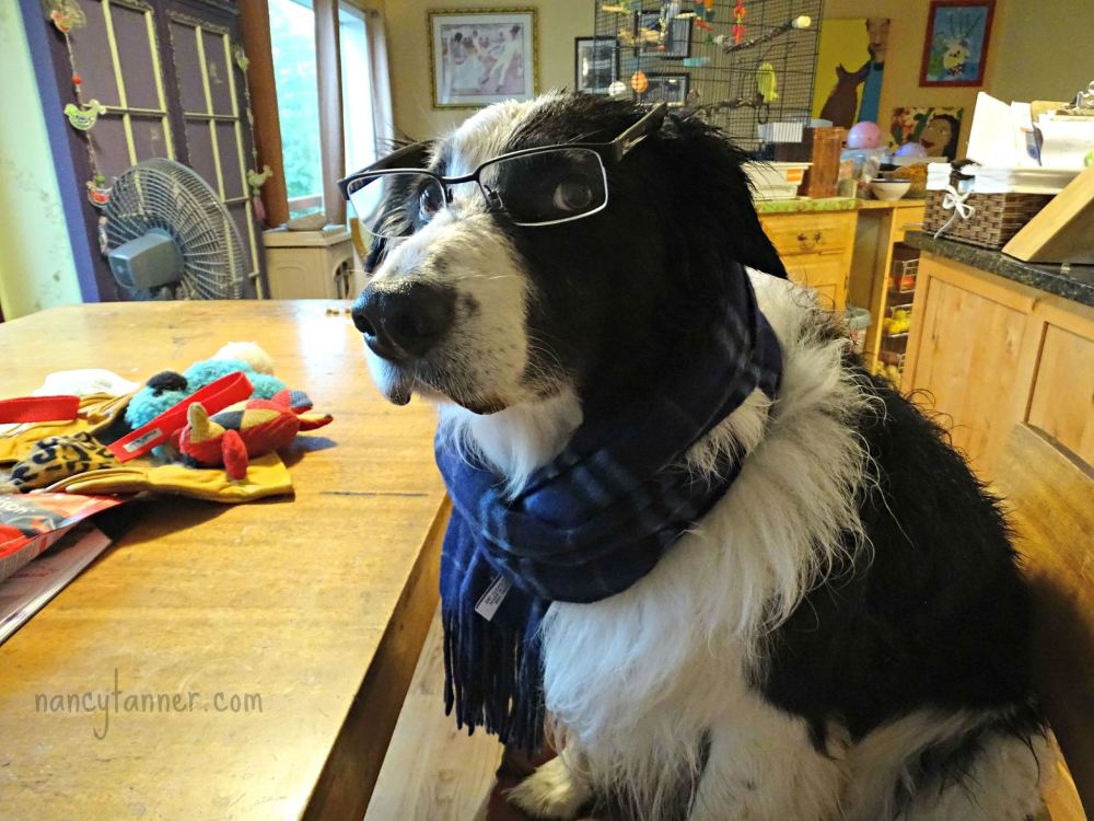 11953450_808640909257594_7585345819734052911_o