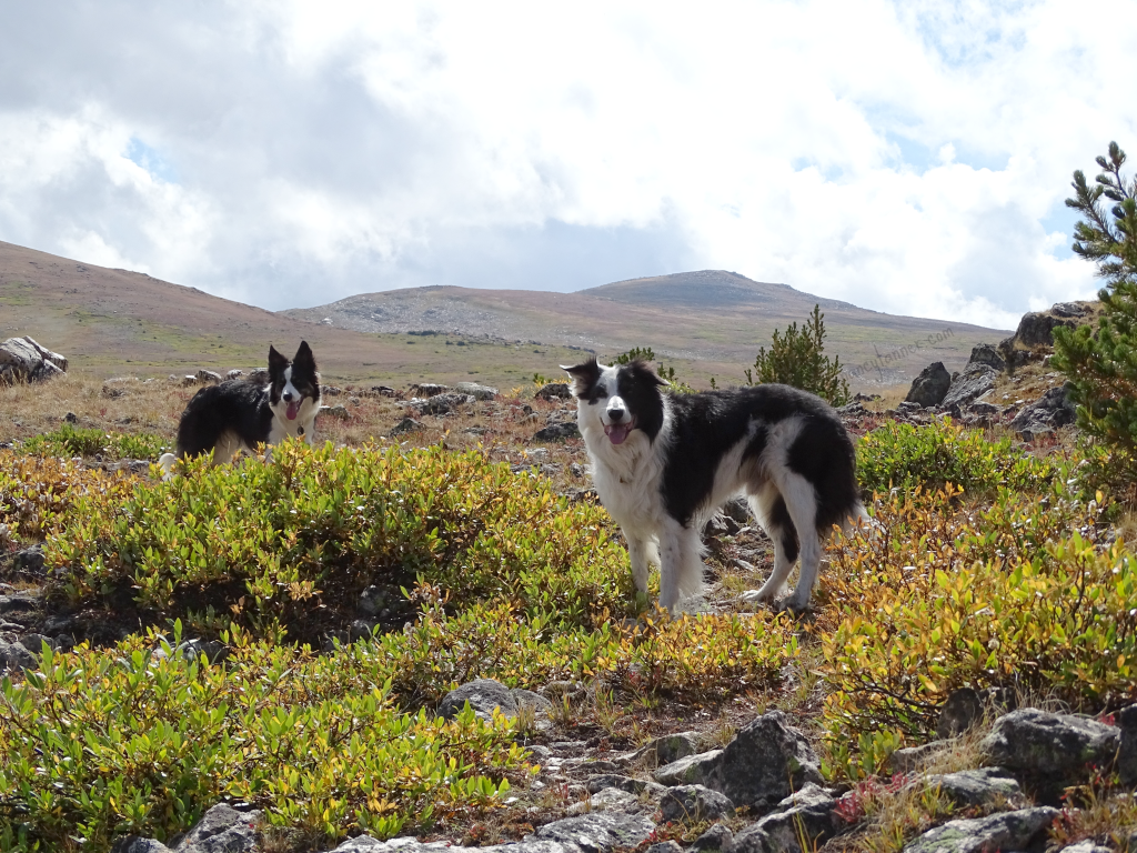 It’s a health&nbsp;thing