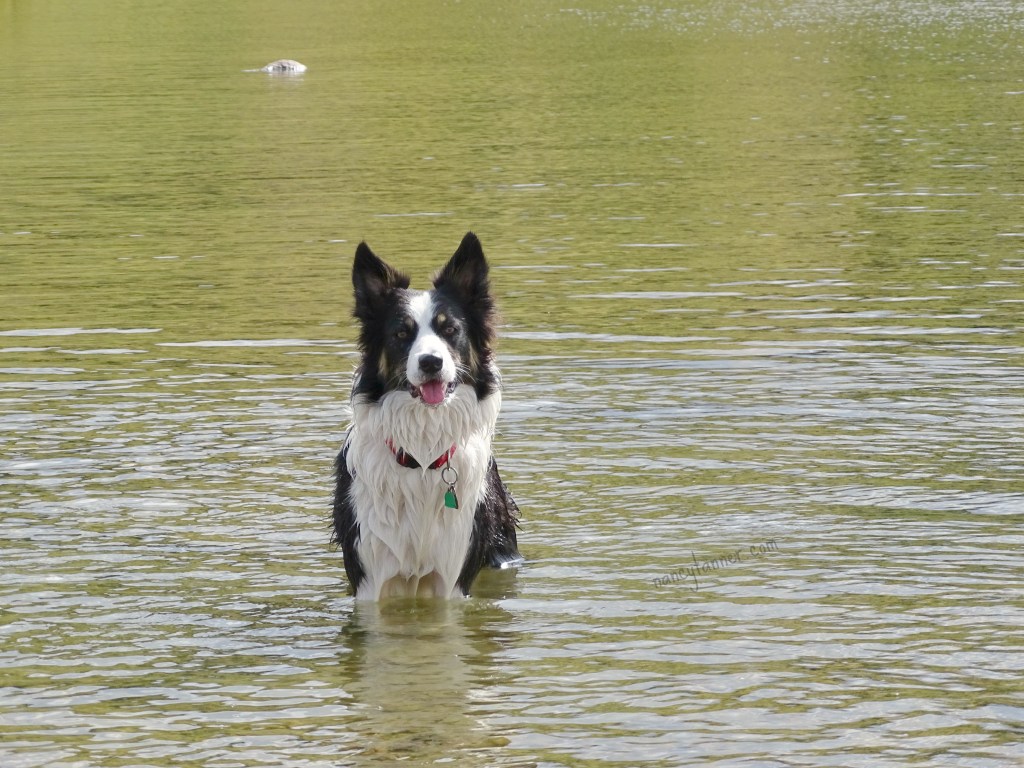 Please don’t worry about what others think of you&nbsp;…