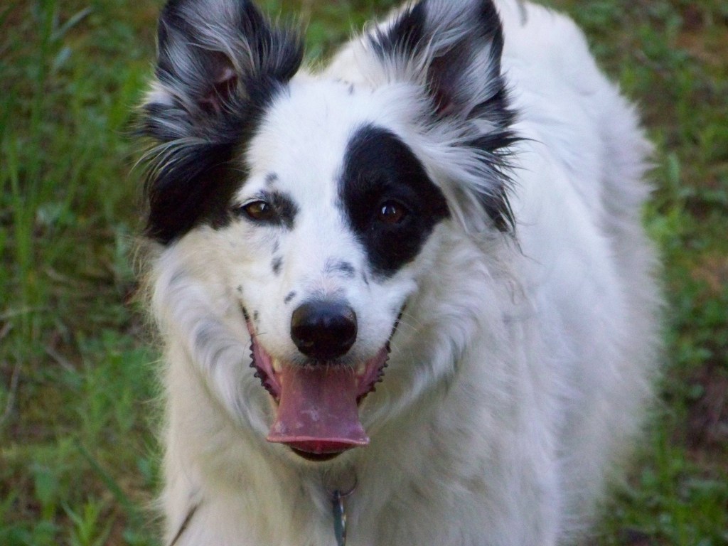 It’s a TONGUE thing&nbsp;…