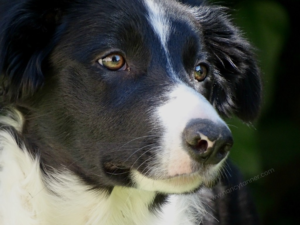 Is it for health, or is it just&nbsp;marketing?