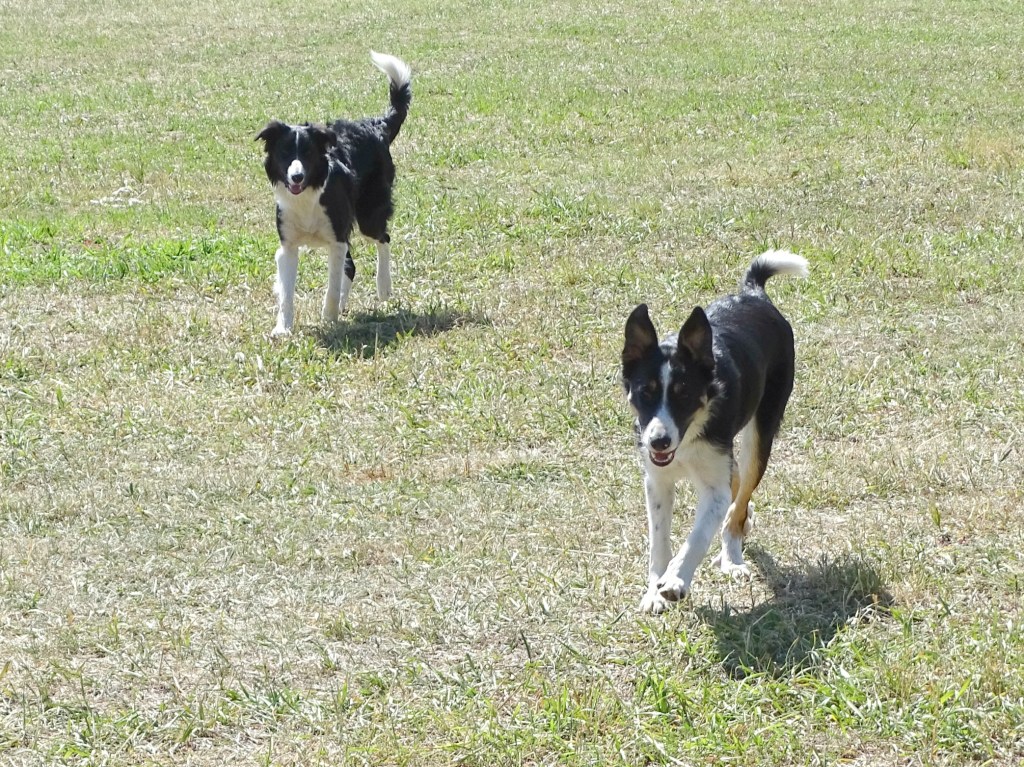 Starting With Who You&nbsp;Have