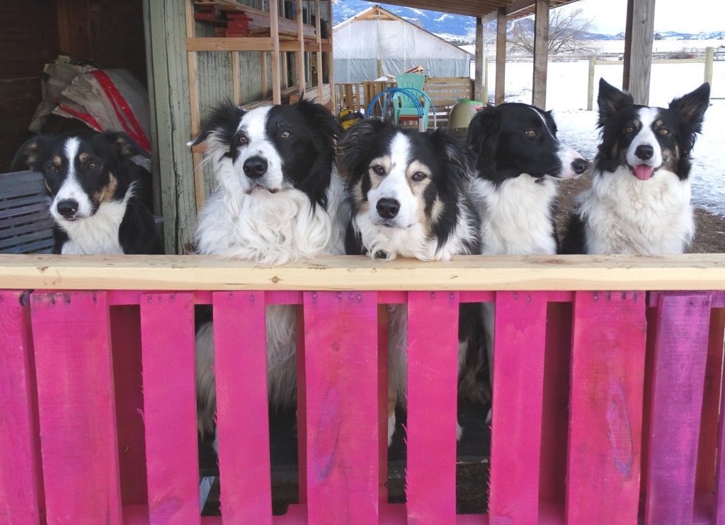 I don’t train husbands …