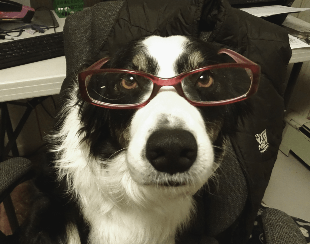 The Office – part&nbsp;8