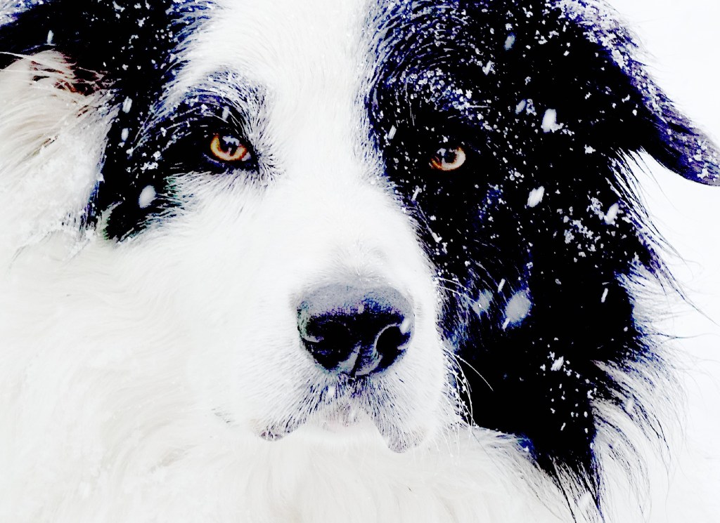 Stumbling Over the&nbsp;Truth