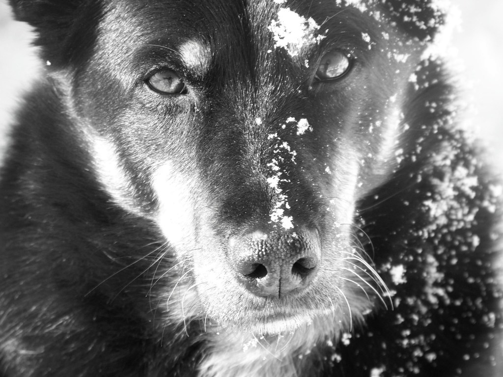 I want a mulligan, just&nbsp;one