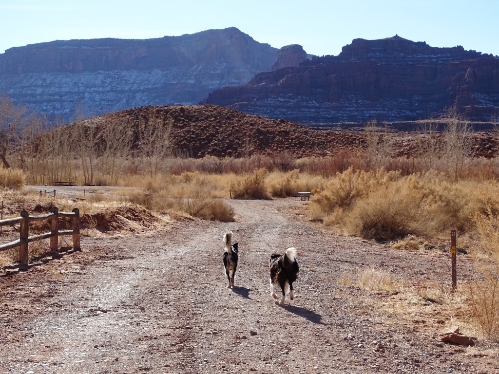 everybody is a genius …